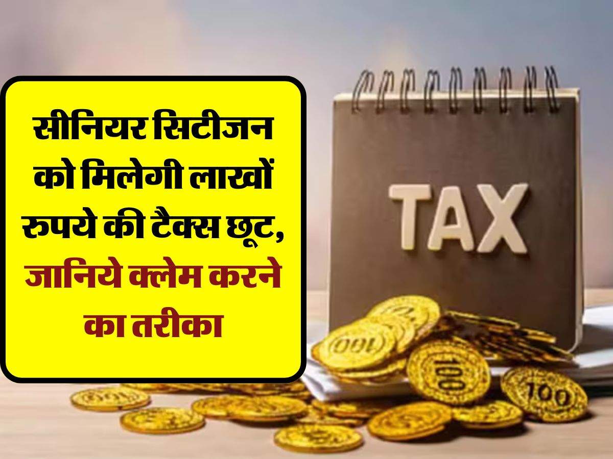 Income Tax : सीनियर सिटीजन को मिलेगी लाखों रुपये की टैक्स छूट, जानिये क्लेम करने का तरीका