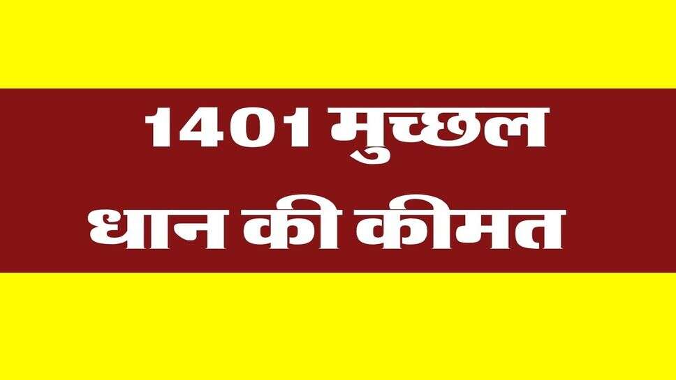 1401 Dhan Price : 1401 मुच्छल धान की कीमत कंबाइन वाली की भी 5000 के पार तक पहुंची, मंडियों की लिस्ट जारी