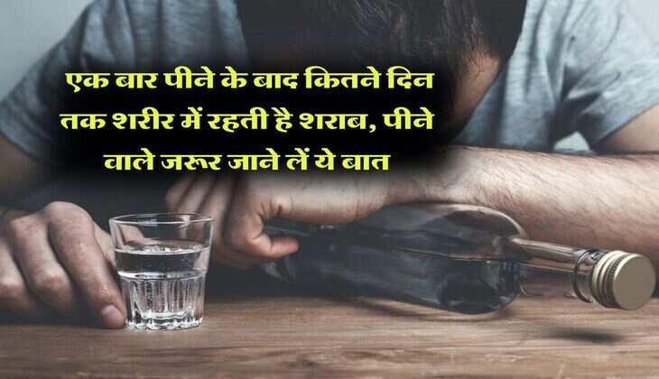 Alcohol facts : एक बार पीने के बाद कितने दिन तक शरीर में रहती है शराब, पीने वाले जरूर जाने लें ये बात