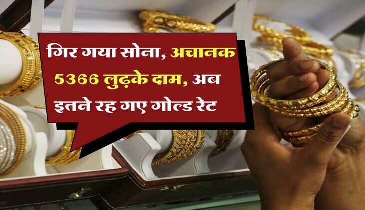 Gold Rate Down : गिर गया सोना, अचानक 5366 लुढ़के दाम, अब इतने रह गए गोल्ड रेट 