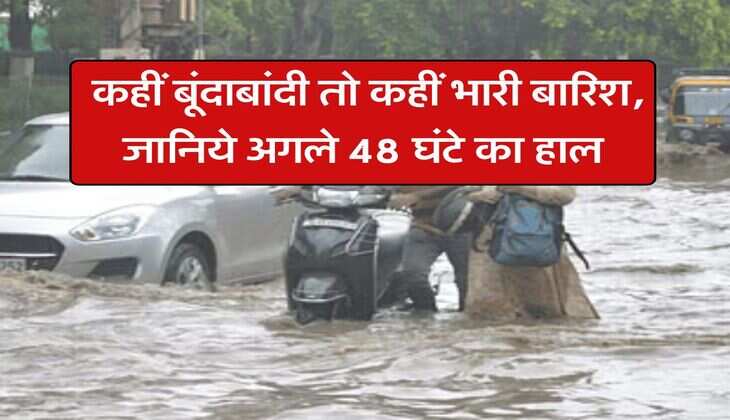 IMD Weather Forecast : कहीं बूंदाबांदी तो कहीं भारी बारिश, जानिये अगले 48 घंटे का हाल