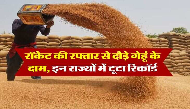 Wheat Price Today : रॉकेट की रफ्तार से दौड़े गेहूं के दाम, इन राज्यों में टूटा रिकॉर्ड