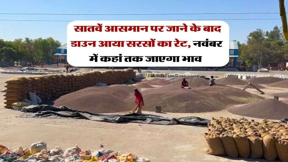 sarso rate : सातवें आसमान पर जाने के बाद डाउन आया सरसों का रेट, नवंबर में कहां तक जाएगा भाव&nbsp;
