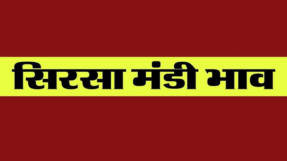 सिरसा मंडी भाव 28 अक्टूबर 2026 : नरमा और देसी कपास की कीमत में गिरावट, गेहूं का भाव स्थिर, जानें सभी फसलों के रेट