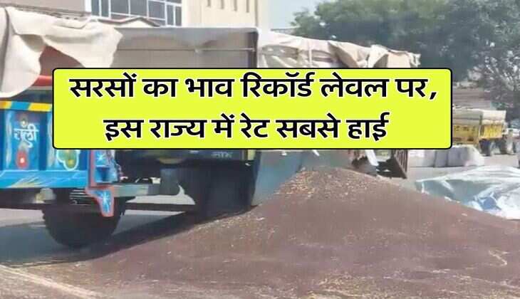 sarso ka bhav 28 july 2025 : सरसों का भाव रिकॉर्ड लेवल पर, इस राज्य में रेट सबसे हाई