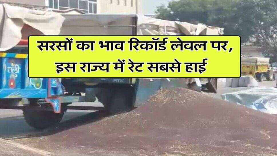 sarso ka bhav 28 july 2025 : सरसों का भाव रिकॉर्ड लेवल पर, इस राज्य में रेट सबसे हाई
