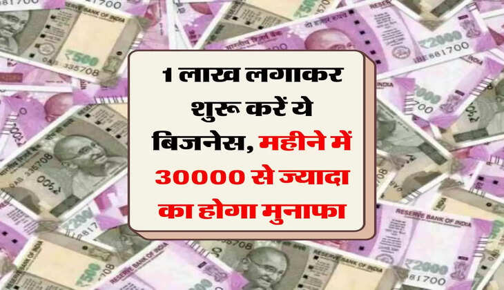 Business Ideas: 1 लाख लगाकर शुरू करें ये बिजनेस, महीने में 30000 से ज्यादा का होगा मुनाफा