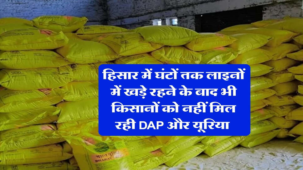 हिसार में घंटों तक लाइनों में खड़े रहने के बाद भी किसानों को नहीं मिल रही DAP और यूरिया&nbsp;