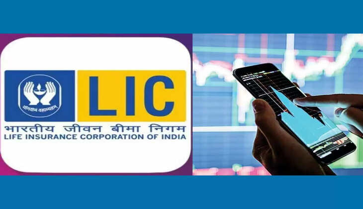 इतना गिर गया LIC शेयर, जानें क्या कहते हैं एक्सपर्ट 