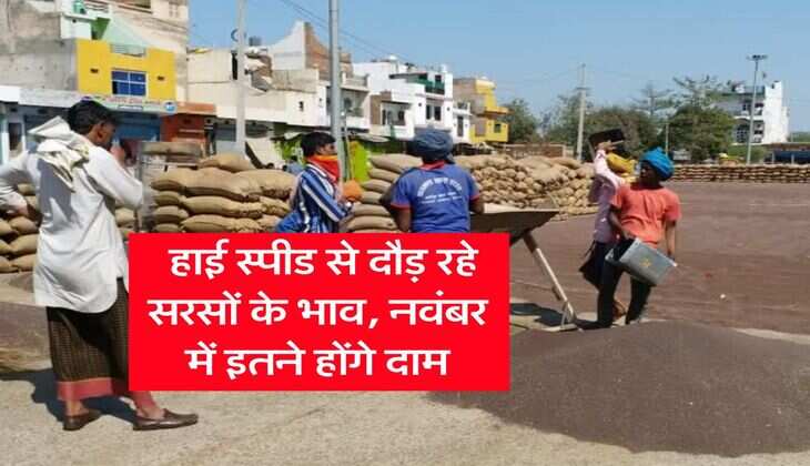 Sarso Mandi Bhav : हाई स्पीड से दौड़ रहे सरसों के भाव, नवंबर में इतने होंगे दाम